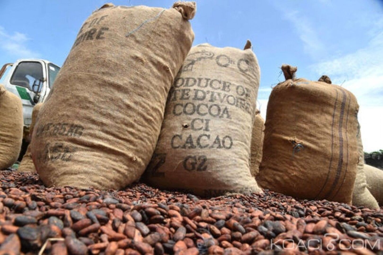 Côte d’Ivoire Keeps Cocoa Price at 2,800 FCFA Until March 2026